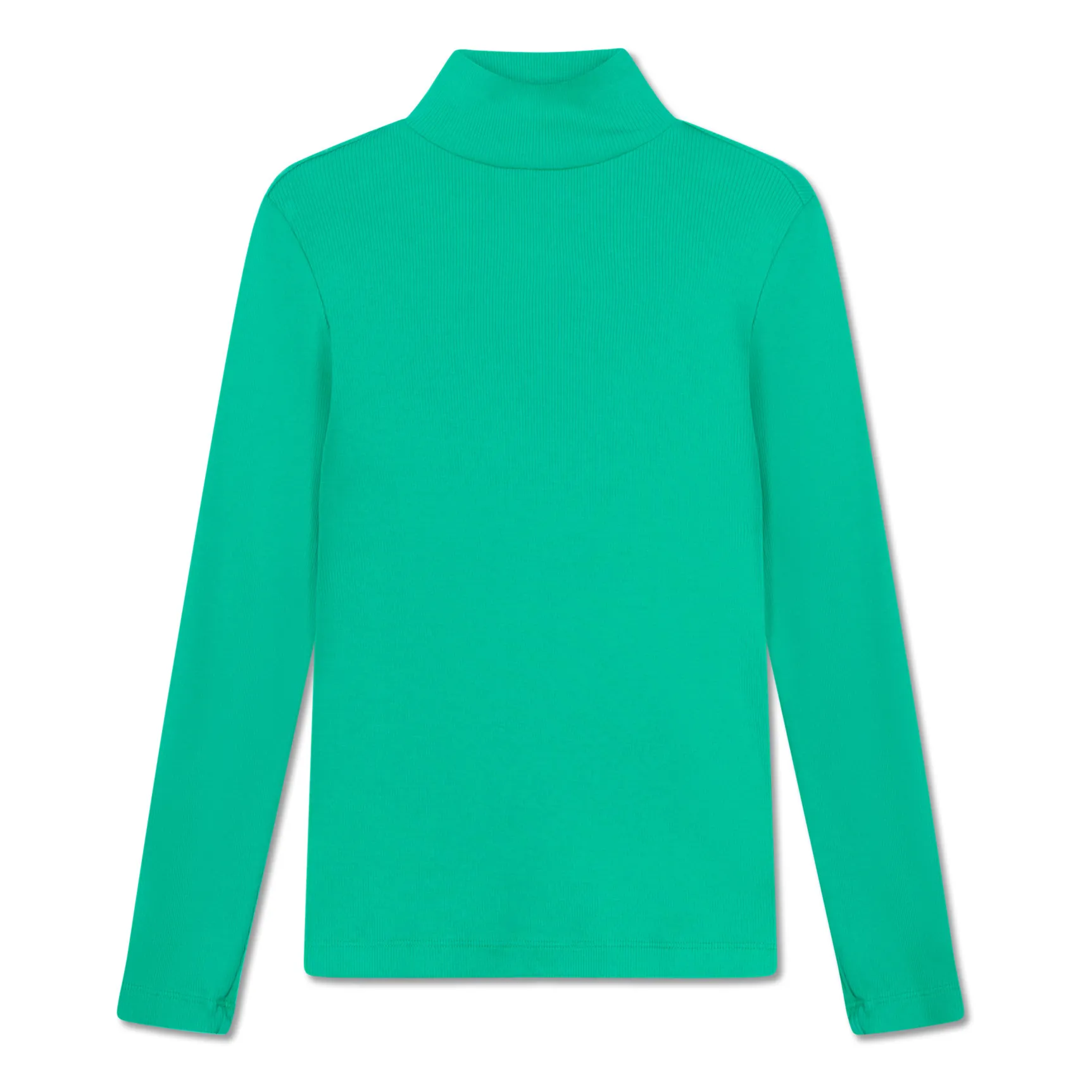 Repose Ams Green Organic Cotton Turtleneck