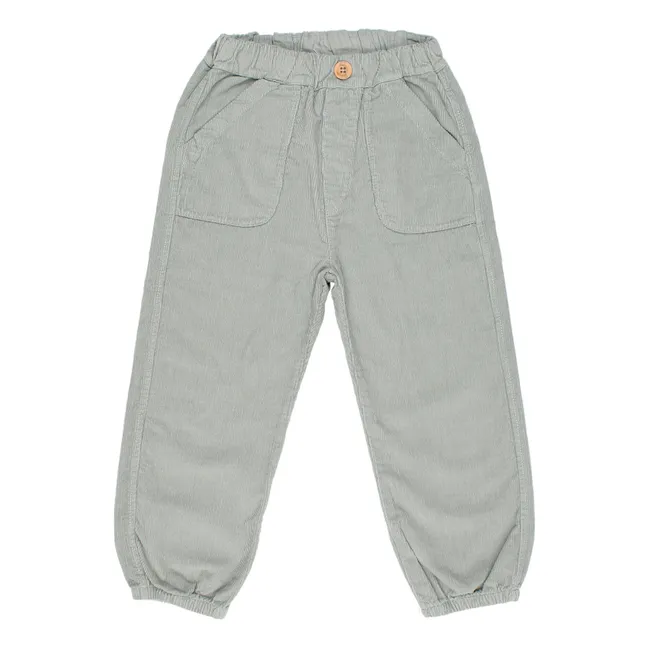 Milleraies Velvet Pants with Pockets | Grey blue