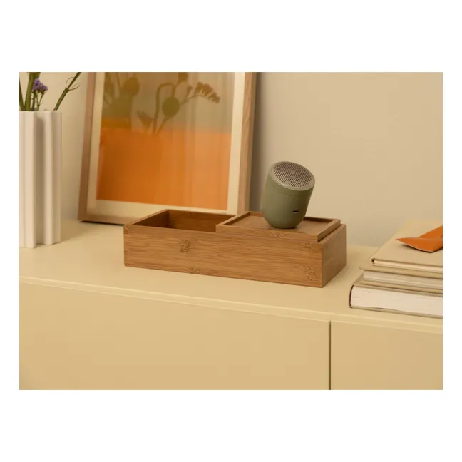 Pilo N°2 Anti-Pilling Razor | Sage