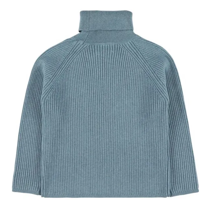 Col Roulé Laine Rosti | Bleu ciel- Image produit n°1