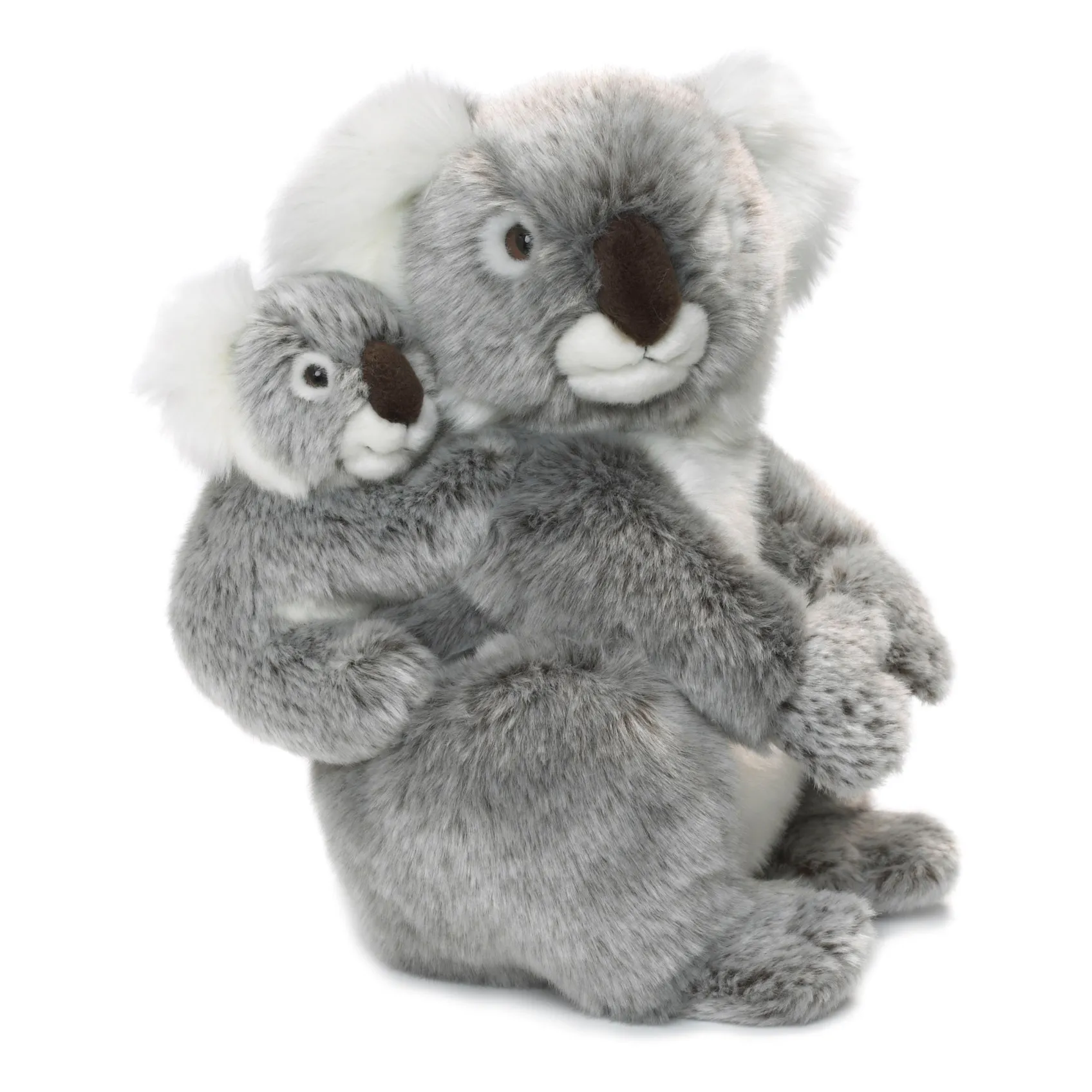 NICI- Peluche Koala 50 cm, 45438