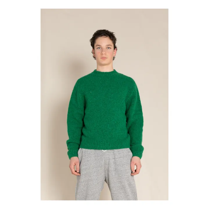 Pull Lona  | Vert- Image produit n°3