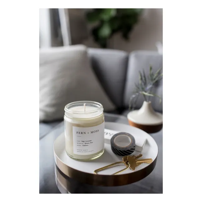 Minimalist Fern + Moss Candle - 212 g