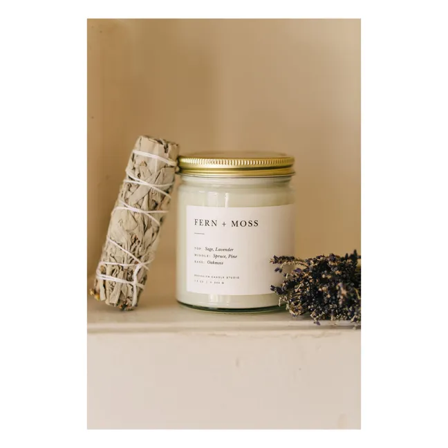 Candela minimalista Fern + Moss - 212 g