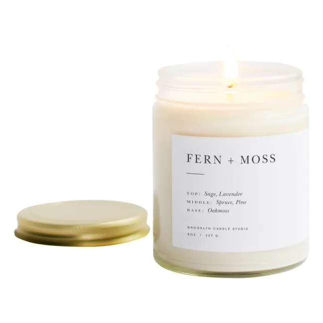 Candela minimalista Fern + Moss - 212 g