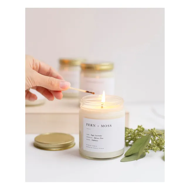 Minimalist Fern + Moss Candle - 212 g