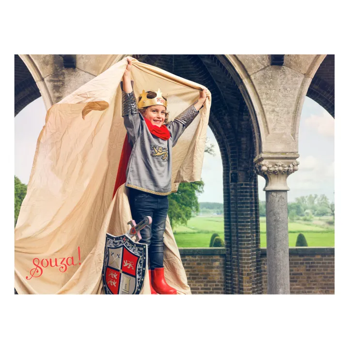 Déguisement Roi Arthur- Image produit n°1