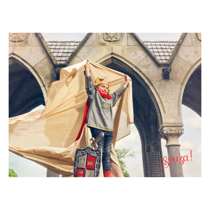 Déguisement Roi Arthur- Image produit n°2