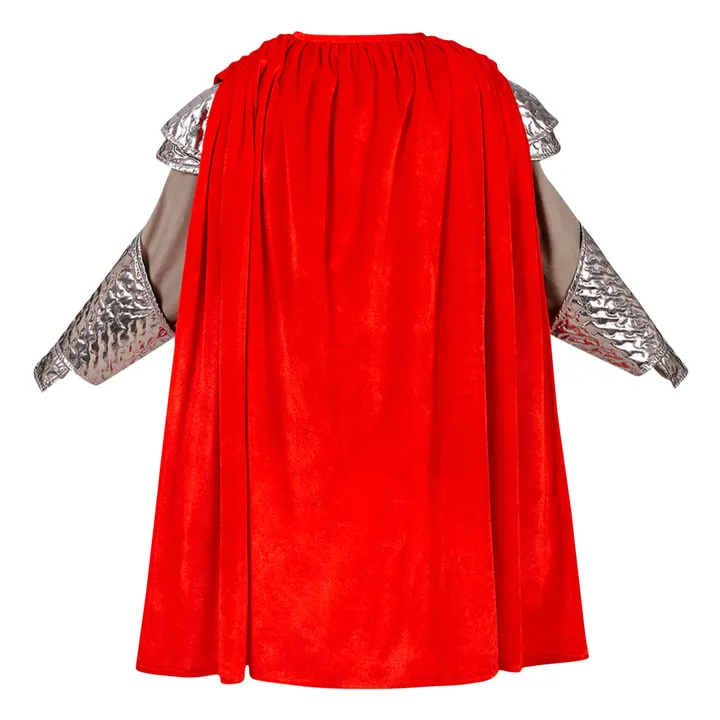 Déguisement Roi Arthur- Image produit n°3