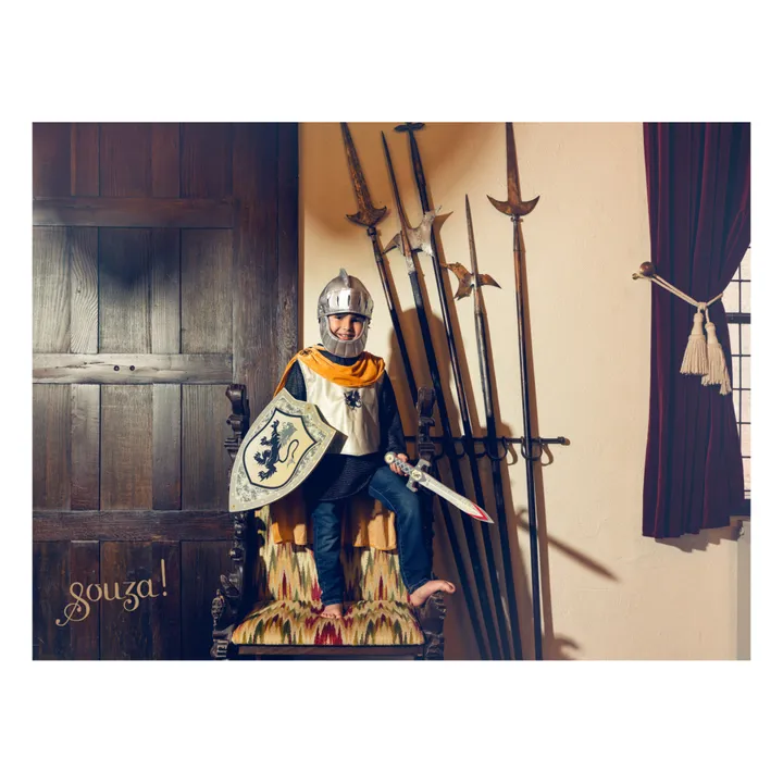 Bouclier Raymond- Image produit n°1