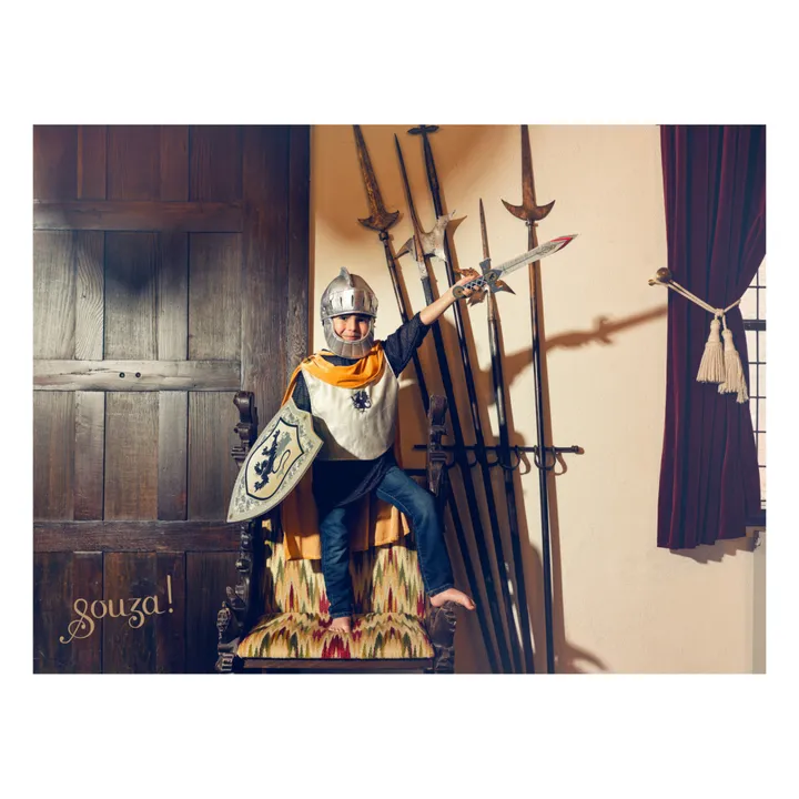 Bouclier Raymond- Image produit n°2