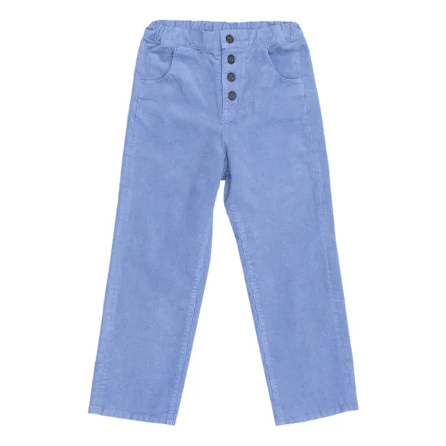 Pantalones de terciopelo Milleraies Erodium | Azul