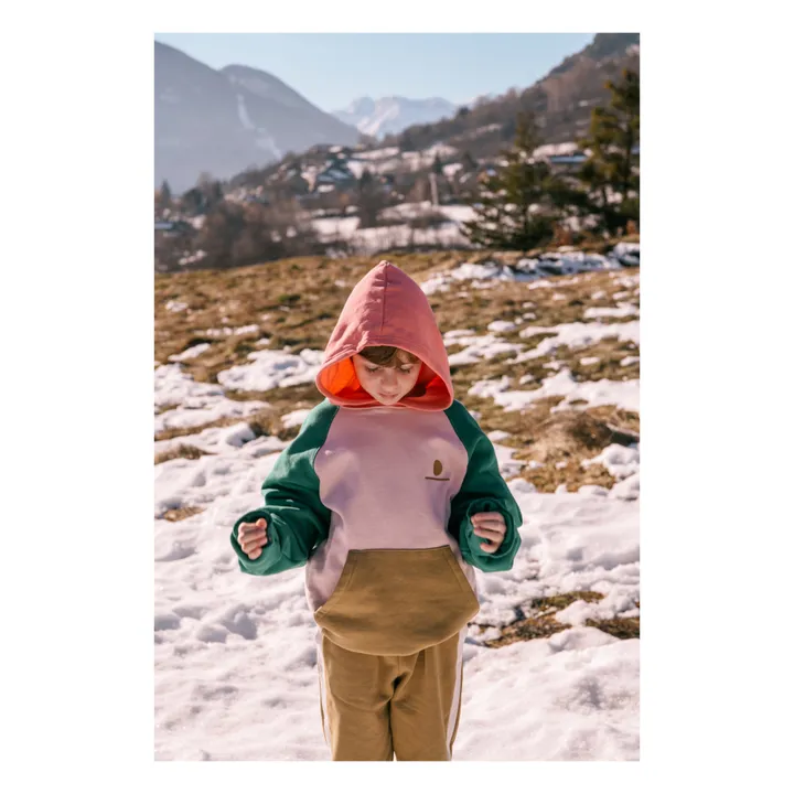 Sudadera con capucha de algodón ecológico Ali | Rosa- Imagen del producto n°1