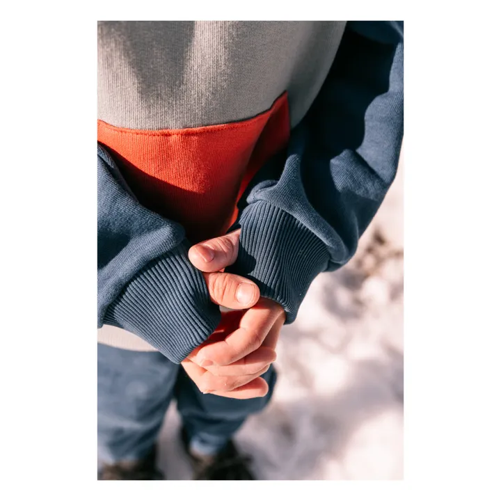 Sudadera con capucha de algodón ecológico Ali | Gris- Imagen del producto n°4