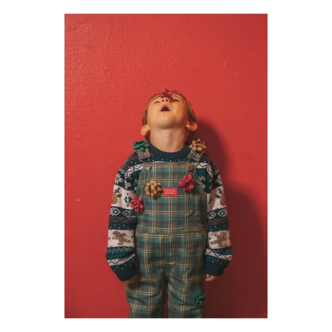 The Little Prince Long Plaid Dungarees | Chrome green