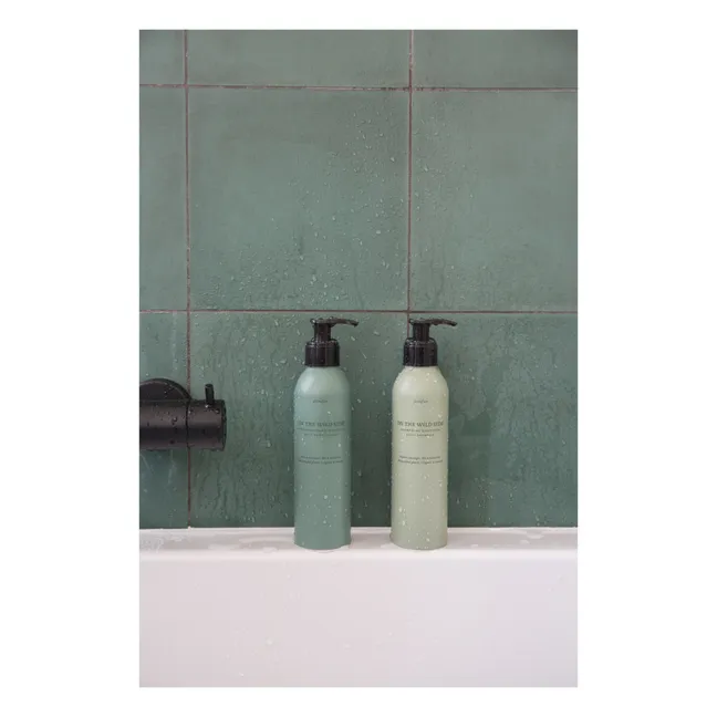 Everyday Conditioner - 250 ml