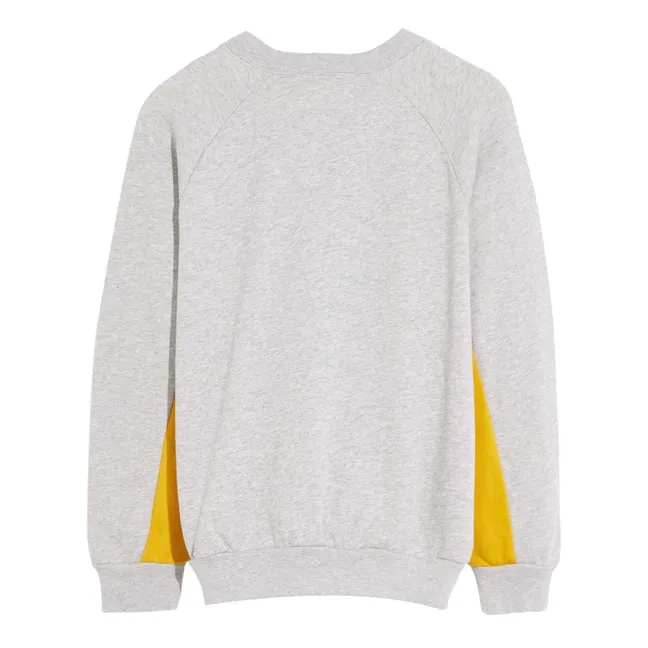 Colorblock Fortino sweatshirt | Heather grey