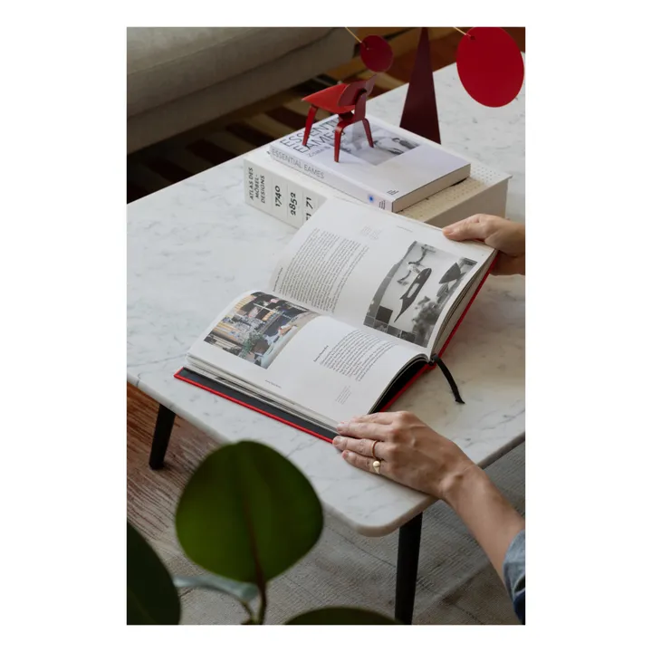 Libro - Vitra & Eames - EN- Immagine del prodotto n°2