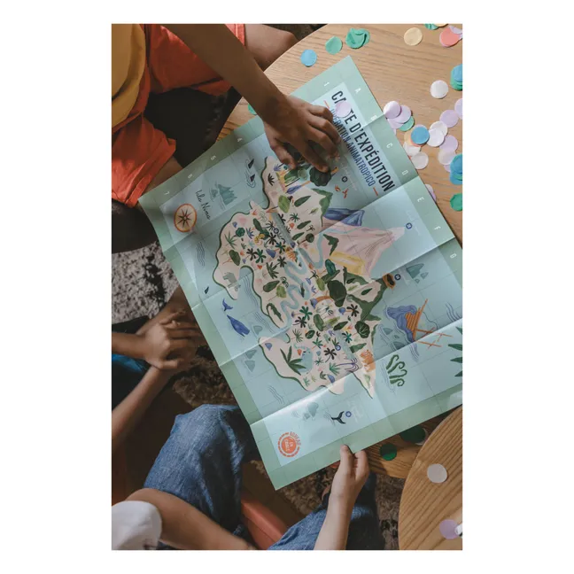 Enquête d'anniversaire - L'île tropicale