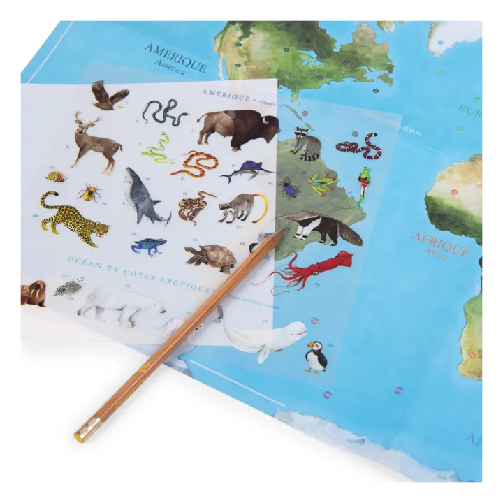 World map with decals - Product image n°4