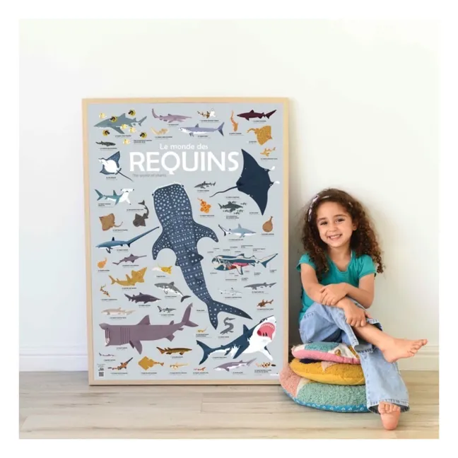 Poster Stickers Requins