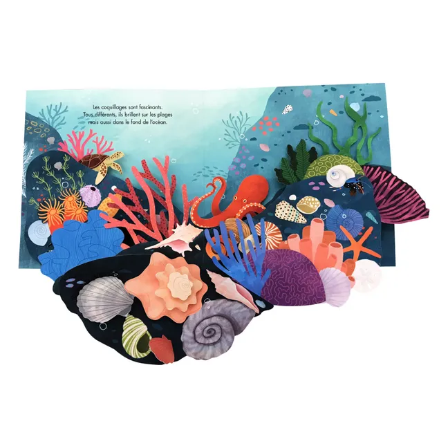 Libro Tesori dell'oceano - Janet Lawler