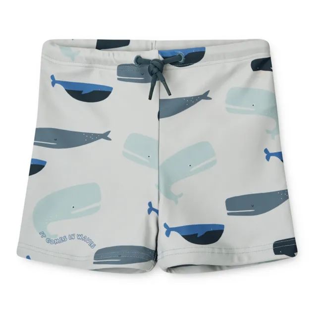 Otto Swim Shorts | Grey blue