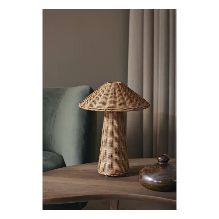 Lámpara de ratán Dou- Imagen del producto n°1