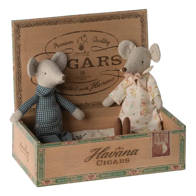 Abuelos ratones en su caja