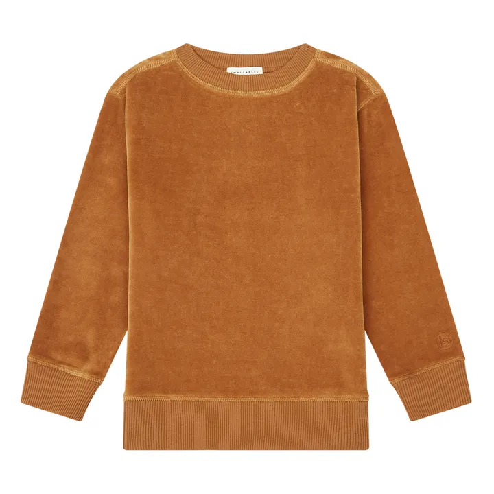 Sweatshirt mit Rundhalsausschnitt aus Velours | Haselnussbraun- Produktbild Nr. 0