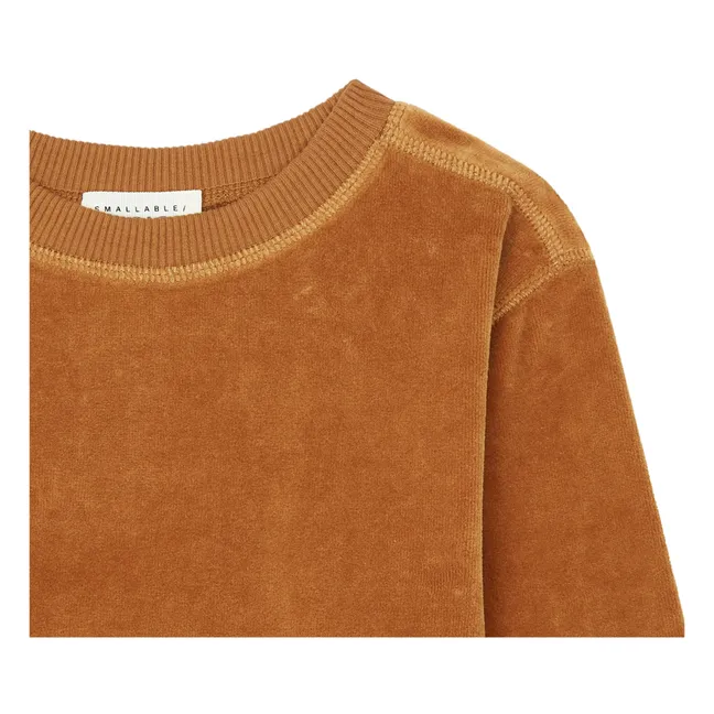Sweatshirt mit Rundhalsausschnitt aus Velours | Haselnussbraun