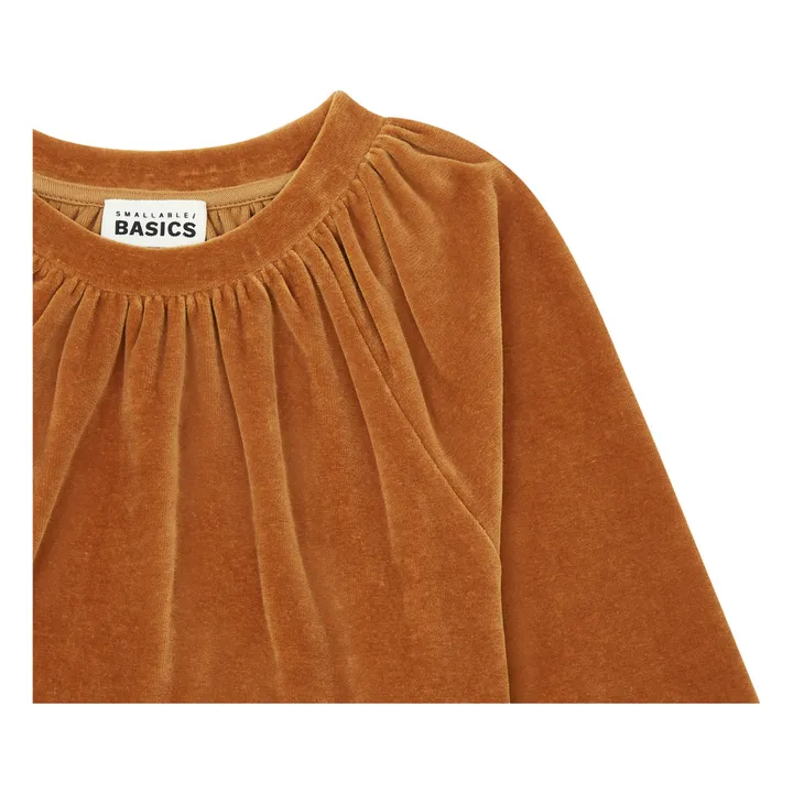 Sweatshirt mit Rundhalsausschnitt aus Velours | Haselnussbraun- Produktbild Nr. 1