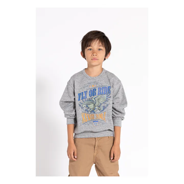 Sweat Blow Eagle | Gris- Image produit n°1