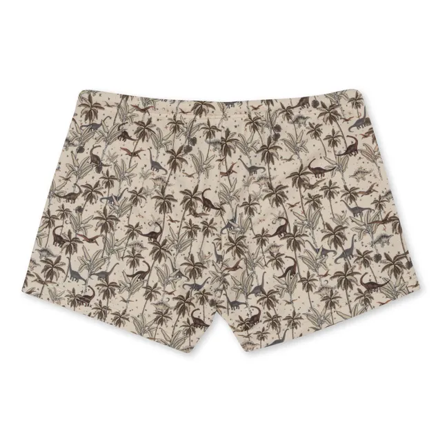 Aster Recycled Fibre Swim Shorts | Beige