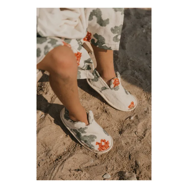Pelargonium slippers | Green
