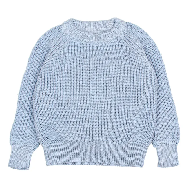 Einfarbiger Pullover aus Bio-Baumwolle | Hellblau