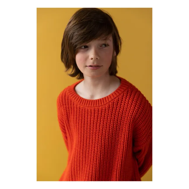 Organic Cotton Chunky Sweater | Blood orange