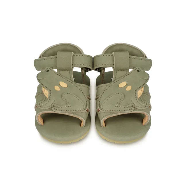 Cardo Frog sandals | Green