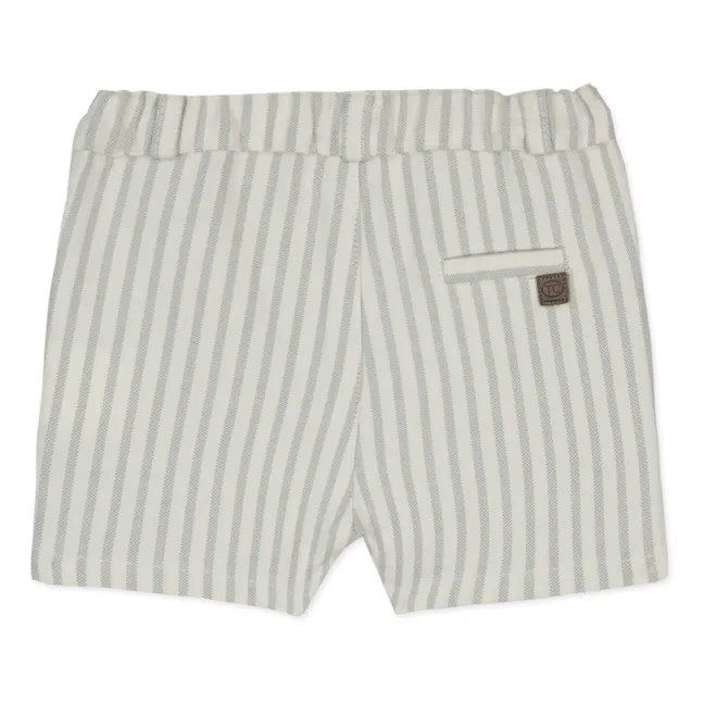 Striped Shorts | Green
