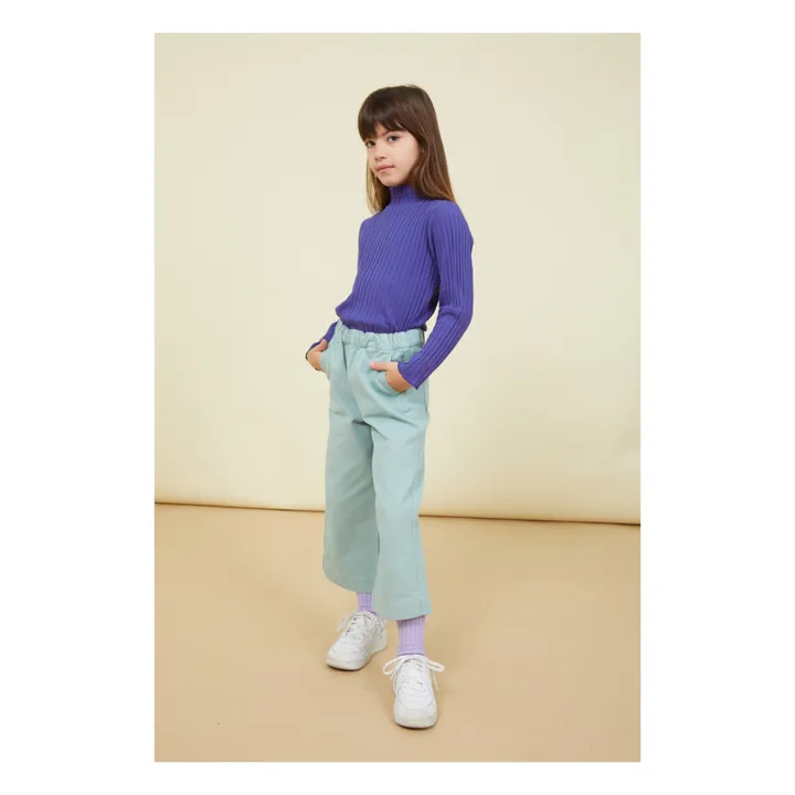 Denim Straight Leg Trousers with Elasticated Waistband | Mint Green- Product image n°1