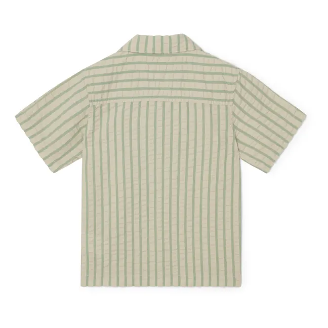 Seersucker striped shirt | Green