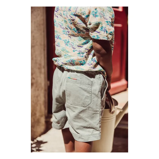 Pantalones cortos Obiki Twill | Marrón Kaki