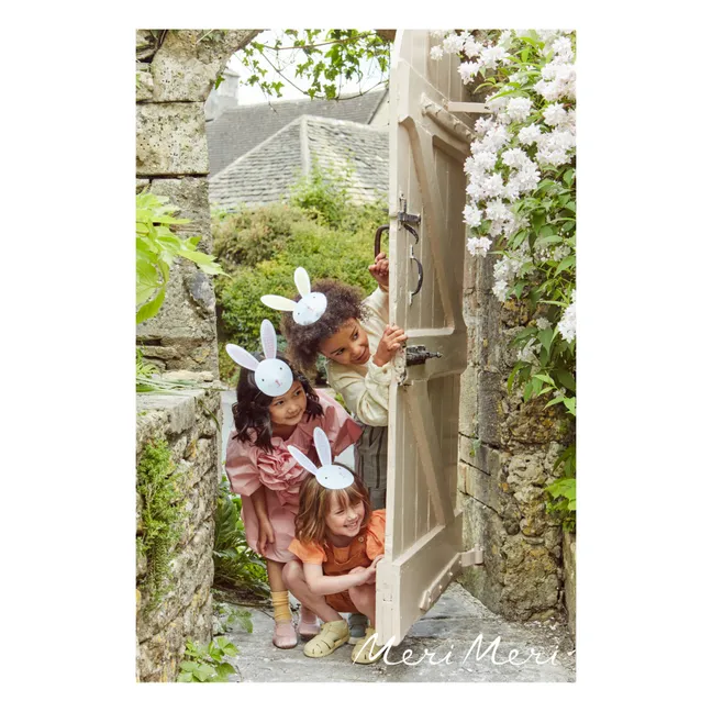 Partyhüte Kaninchen