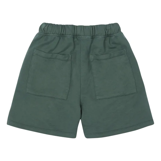Baggy shorts | Blue Green