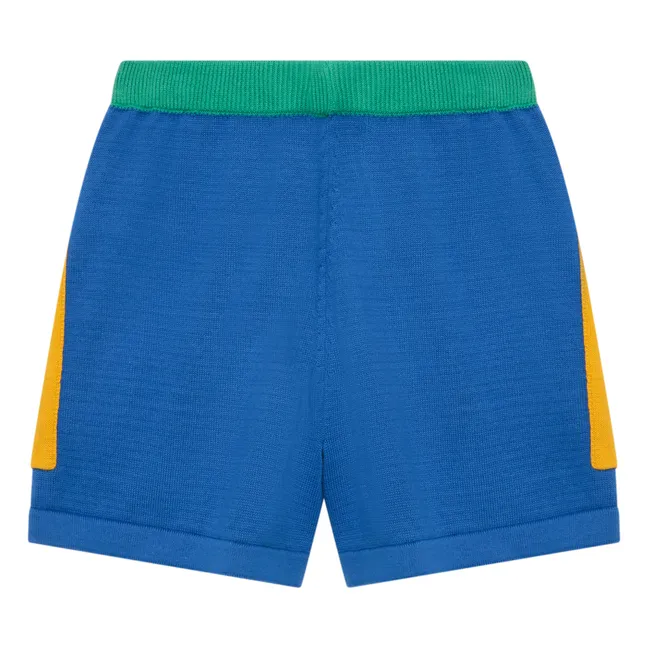Colorbloc Mesh Shorts | Blau