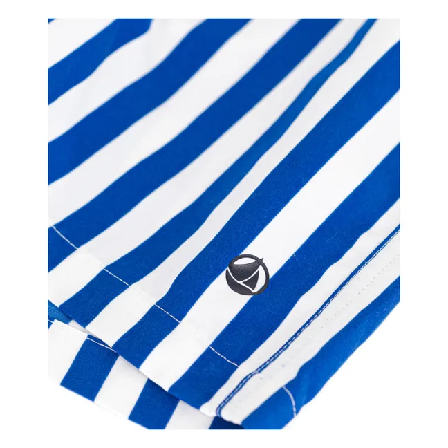 Monty Striped Swim Shorts | Blue