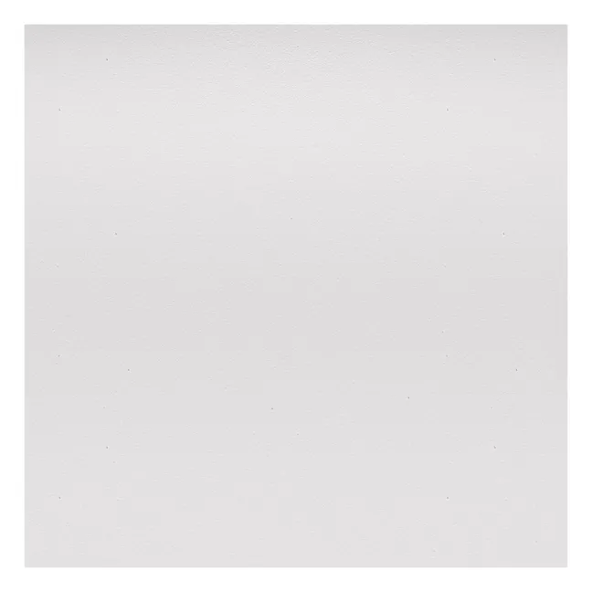 DAW chair - maple base - Charles &amp; Ray Eames | White