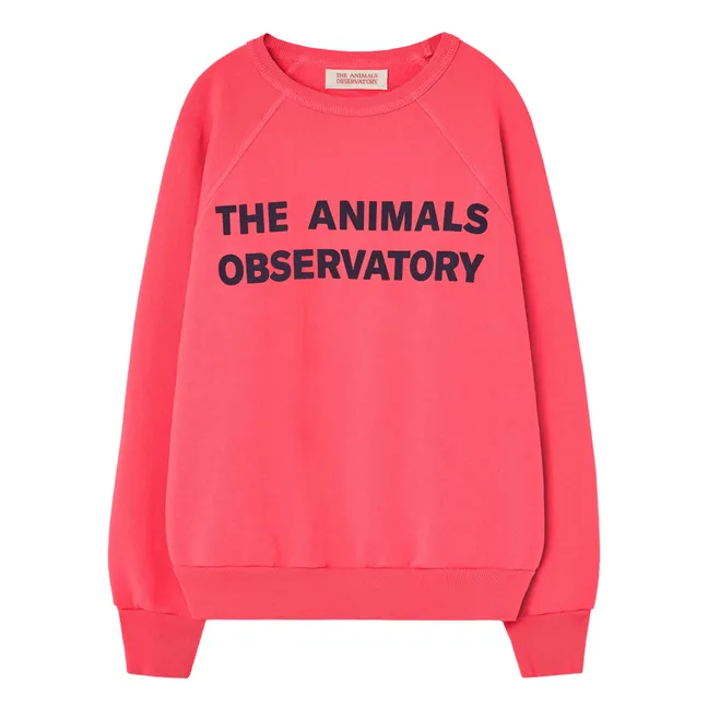 Perseus sweatshirt | Pink