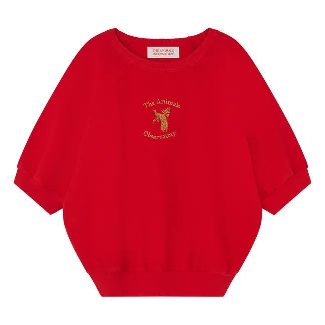 Squab-Sweatshirt | Rot