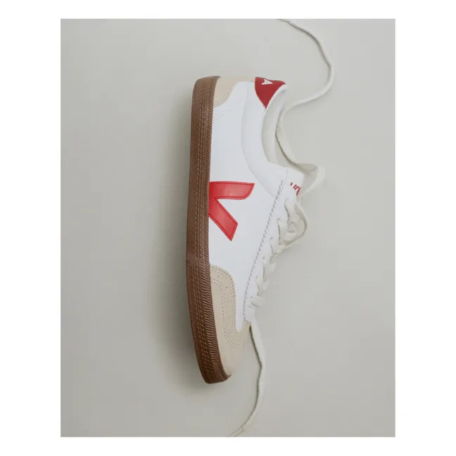 Baskets Volley O.T | Bordeaux